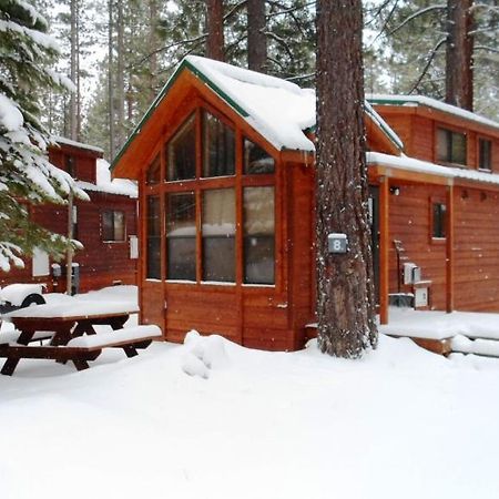 Cedar Pines Resort سووث لاك تاهوي المظهر الخارجي الصورة