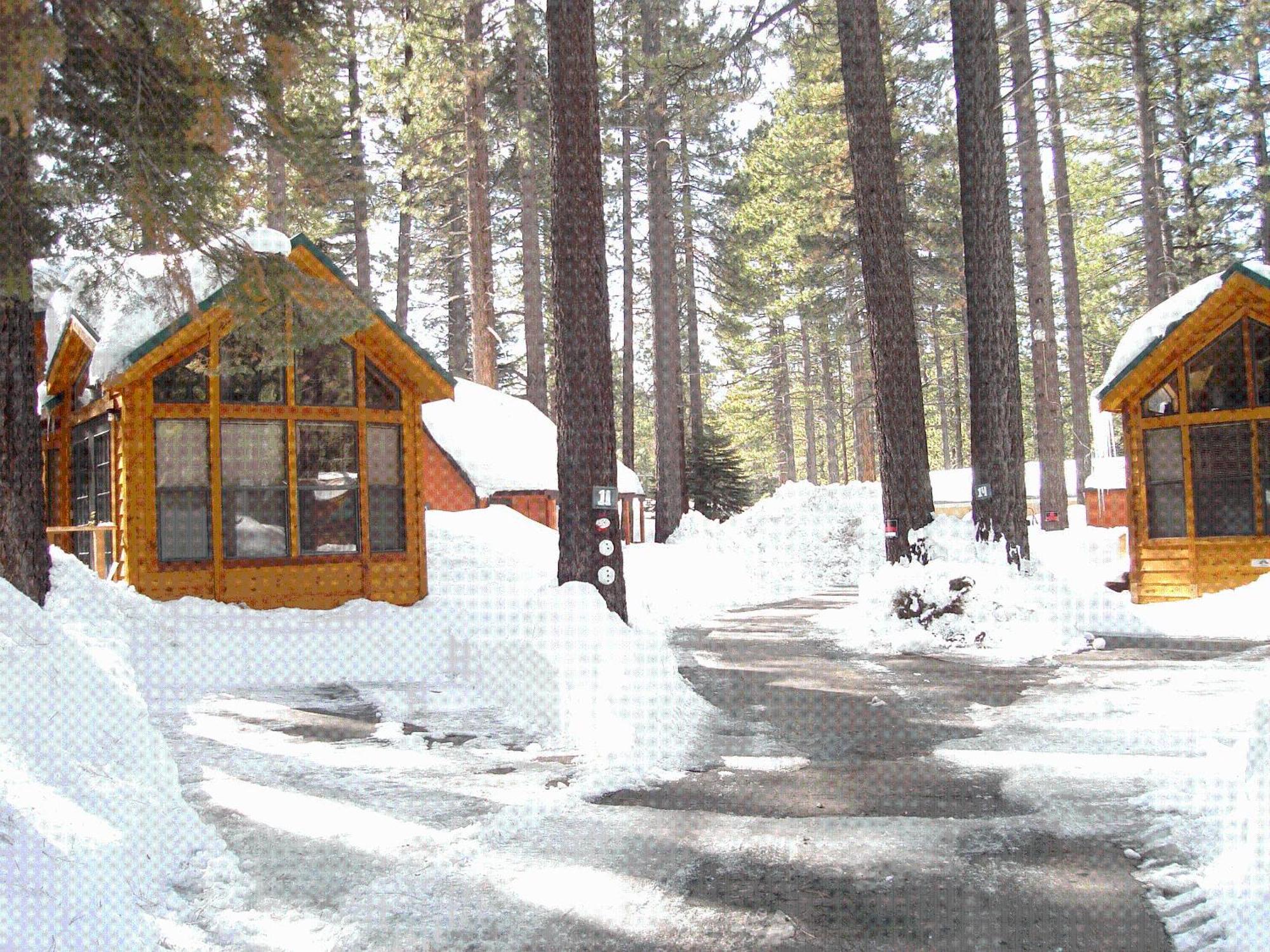 Cedar Pines Resort سووث لاك تاهوي المظهر الخارجي الصورة