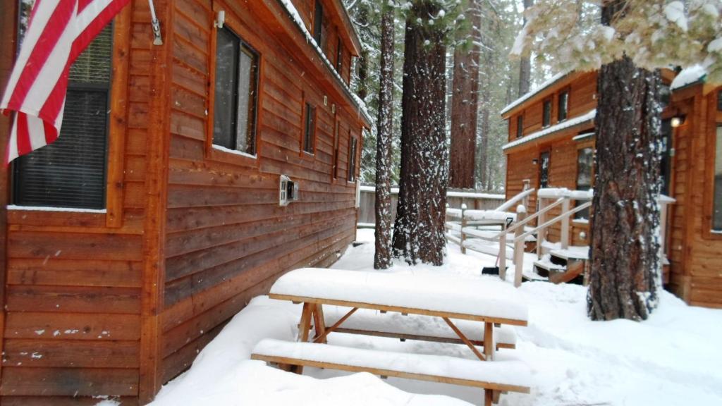 Cedar Pines Resort سووث لاك تاهوي المظهر الخارجي الصورة